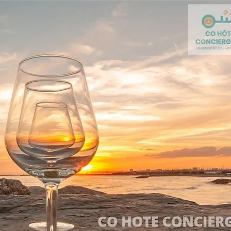 New Le Moon Beach-terrasse-piscine-garage-bord De Mer-cohoteconciergerie Motte Apartment La Grande-Motte