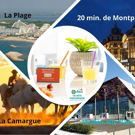 Apartment New Le Moon Beach-terrasse-piscine-garage-bord De Mer-cohoteconciergerie Motte La Grande-Motte